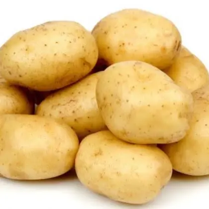 Bolsa de papas 10lb's photo #1